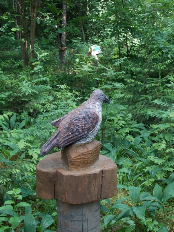 Putnu takā - Sauleskalns, atpūtas komplekss 06