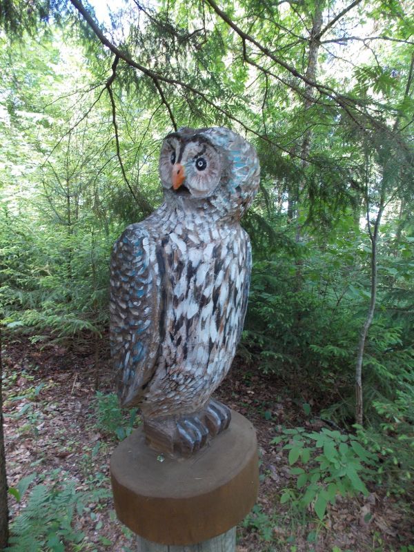 Putnu takā - Sauleskalns, atpūtas komplekss 05