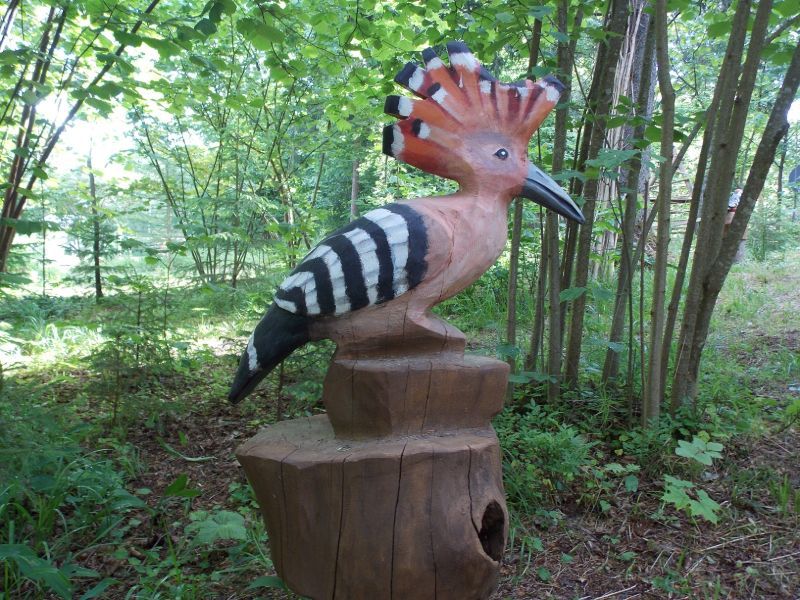 Putnu takā - Sauleskalns, atpūtas komplekss 02