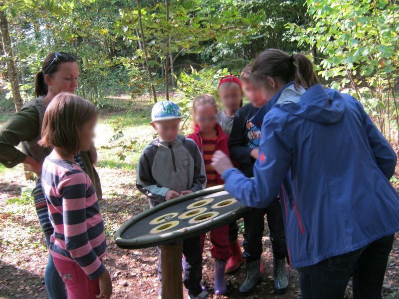 Sun trail in Sauleskalns - task 2