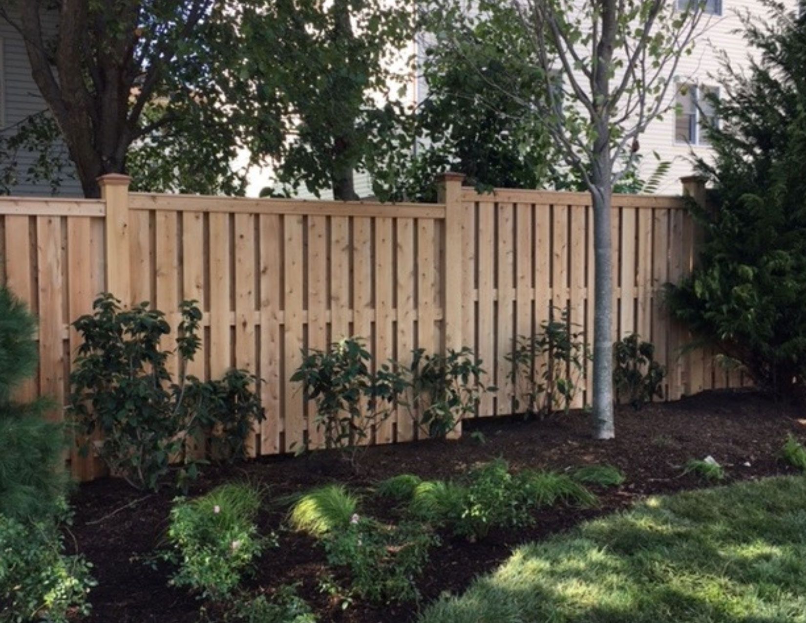 Board on Board Fences 2