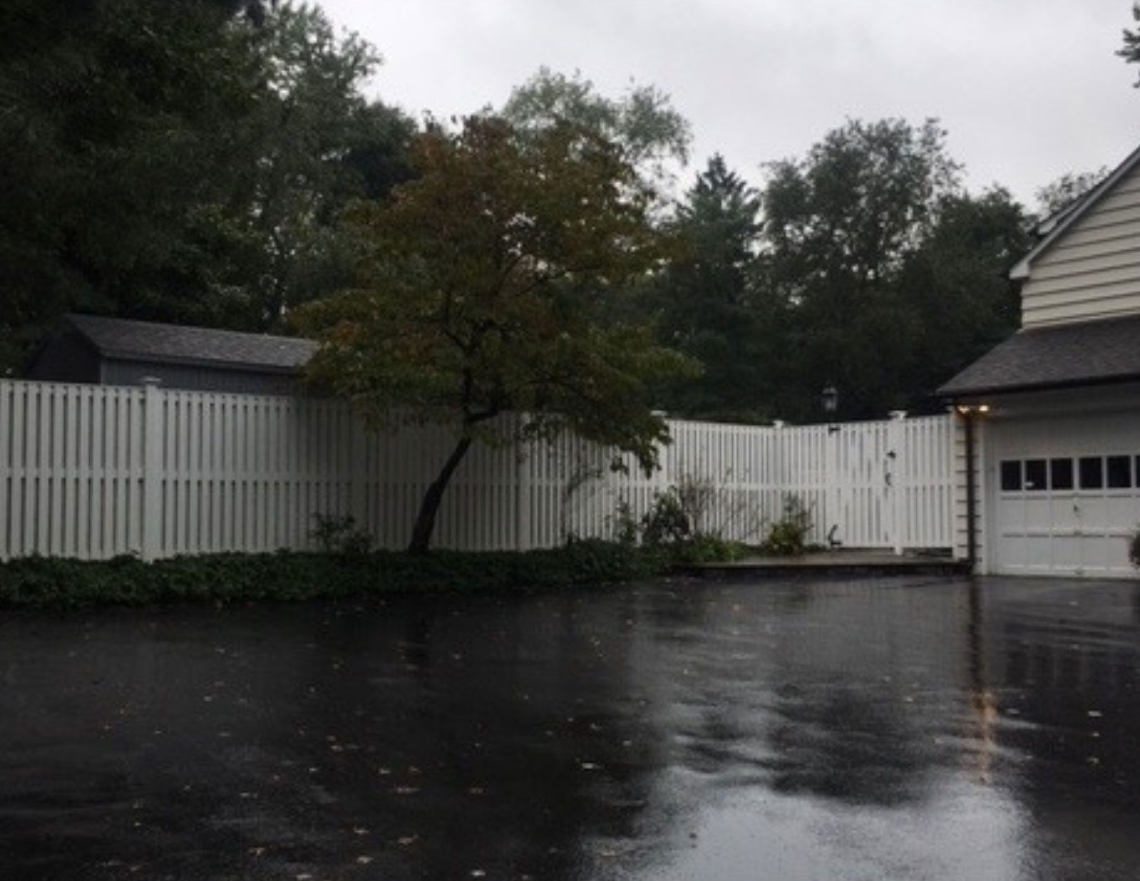 Board on Board Fences 5