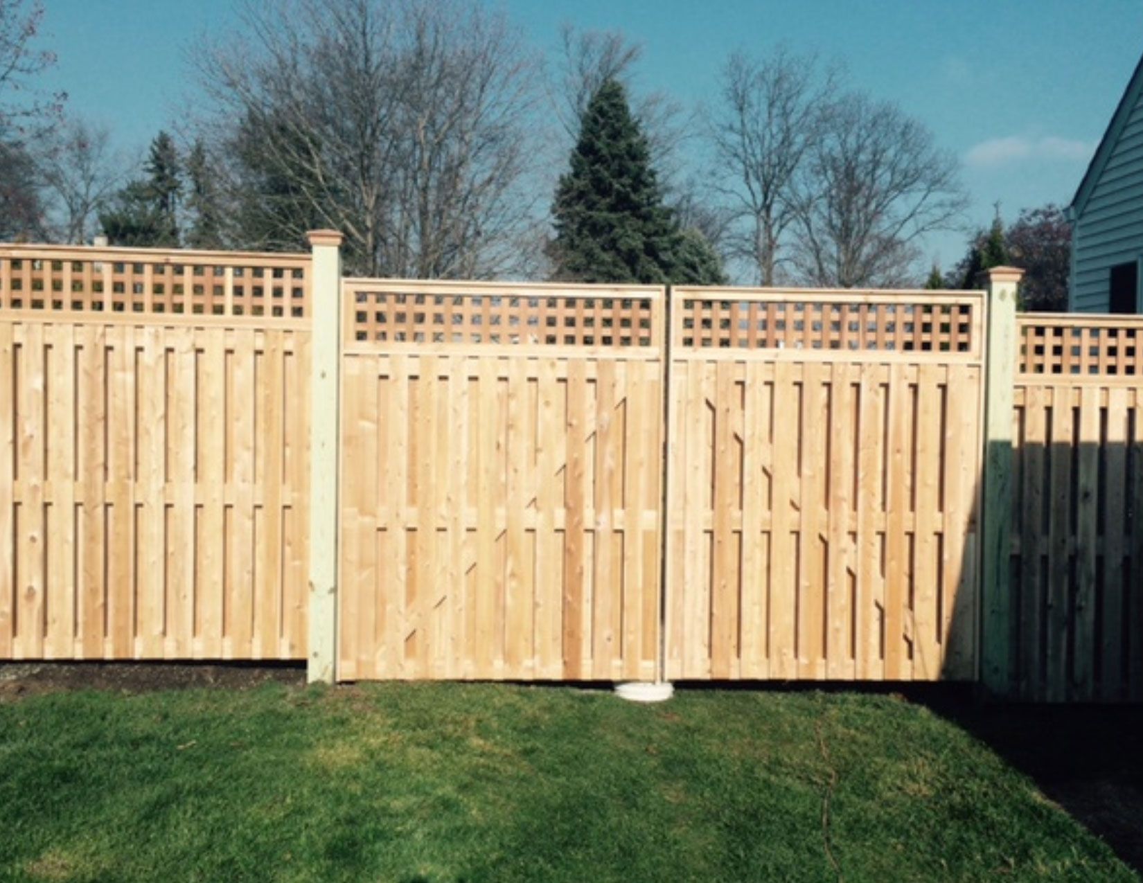 Board on Board Fences 8