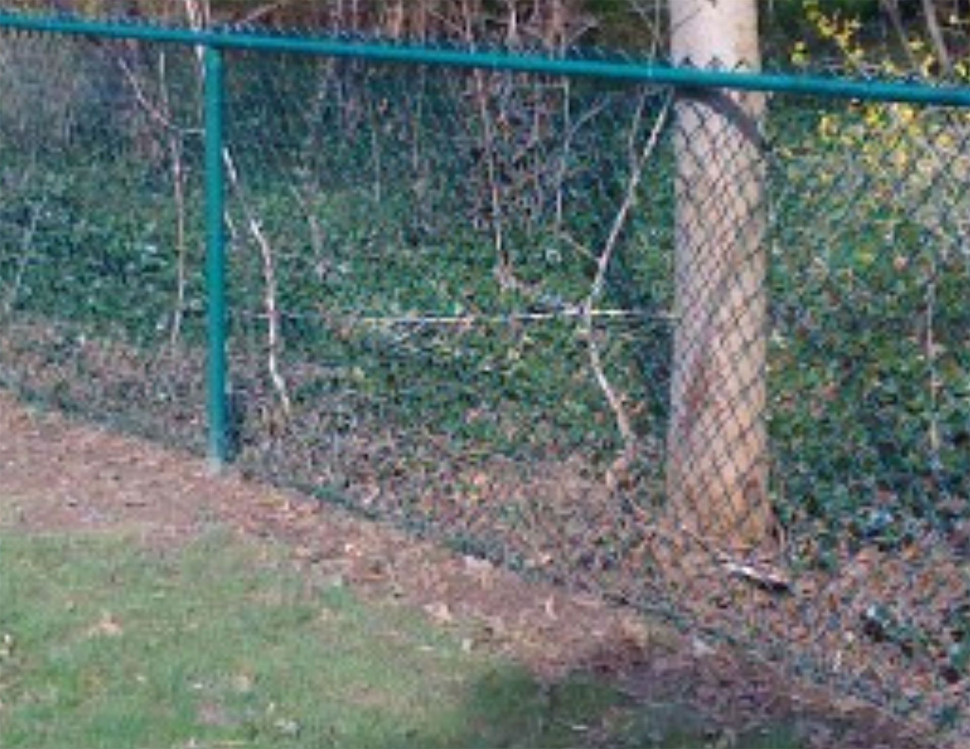 Chain-Link Fences 6