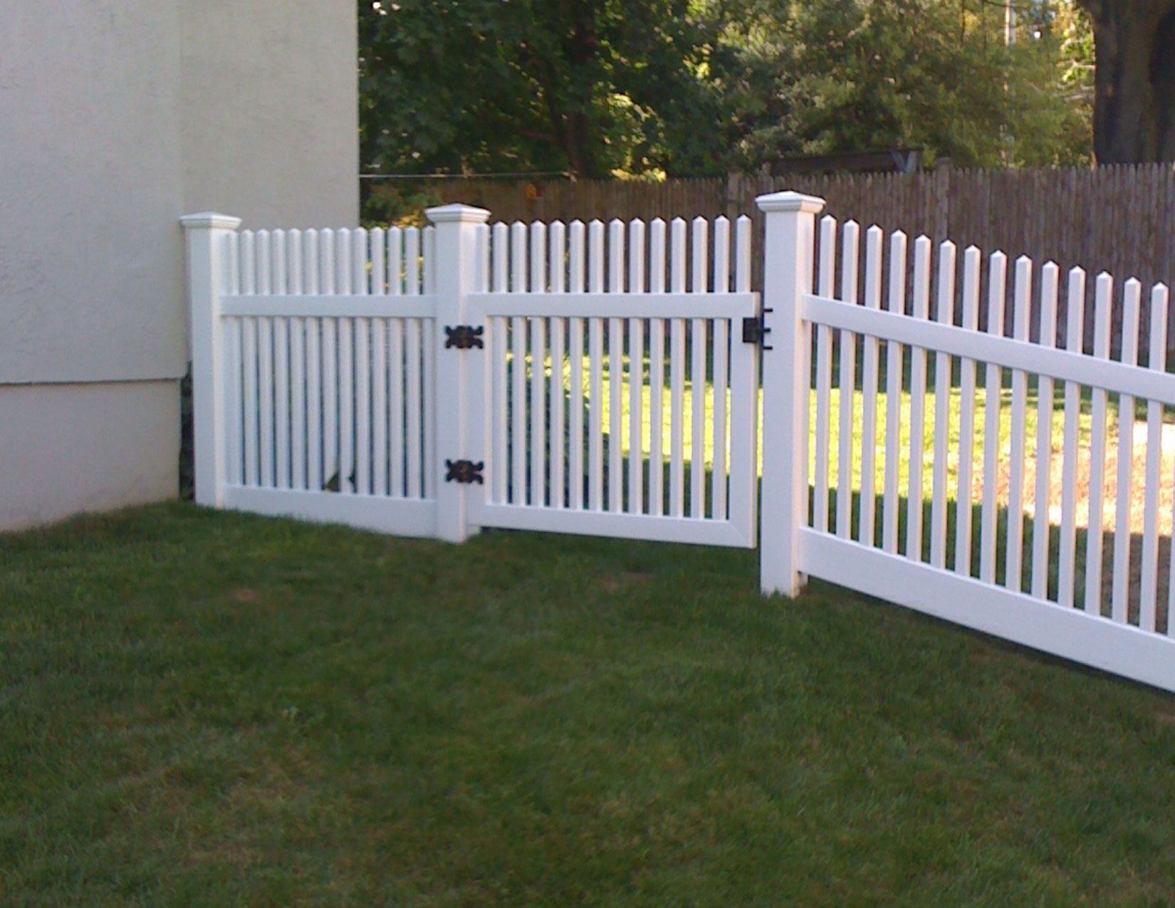 Illinois - Straight 2