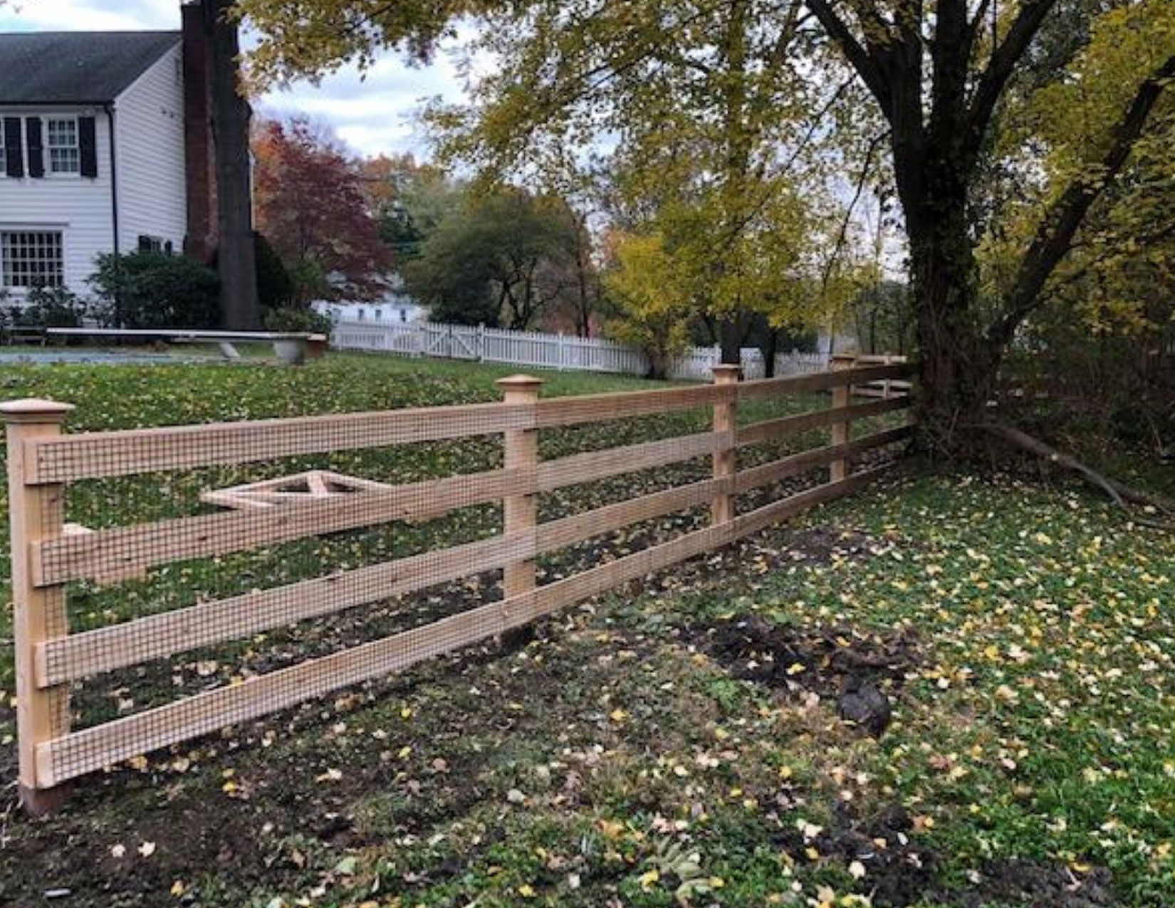 Post & Rail | Post & Board - Post & Board 1