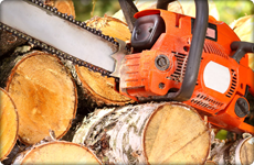 Chainsaw on logs