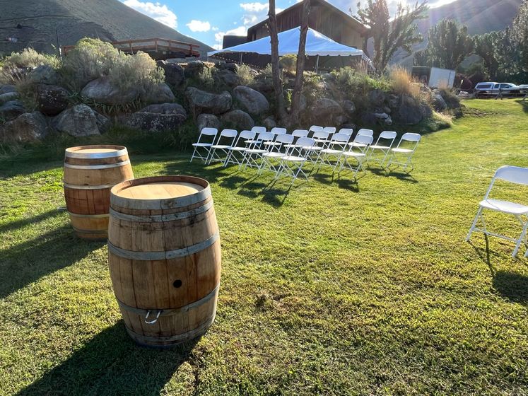 A row of chairs and wooden barrels in a grassy field.