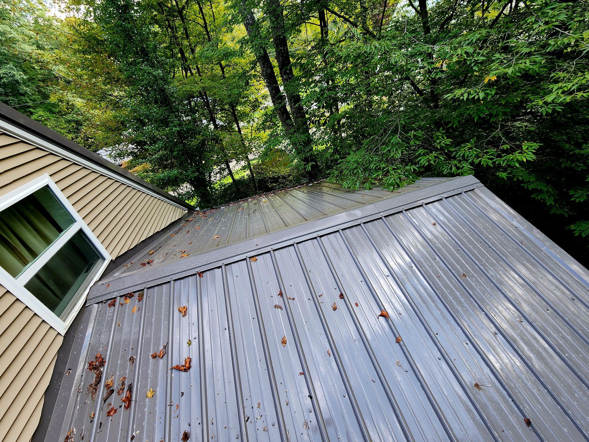 White Roof With Leaves — Grafton, WV — Mountaineer Wash