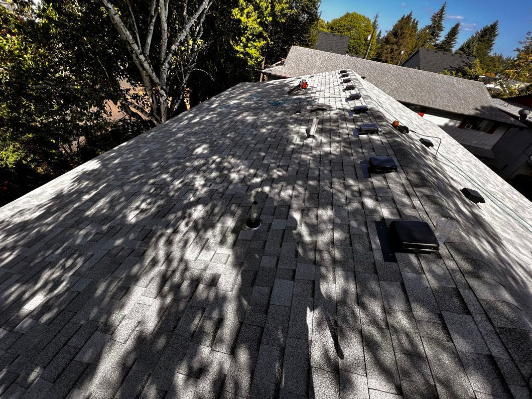 A roof with a lot of shingles on it and trees in the background.