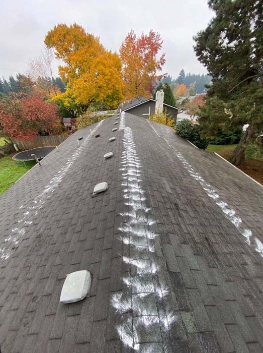 A roof with a lot of white paint on it and trees in the background.