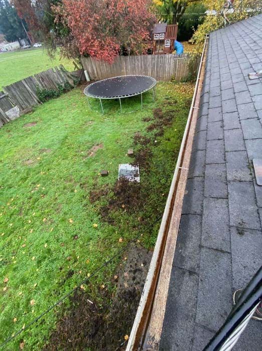 A trampoline is sitting in a backyard next to a gutter.