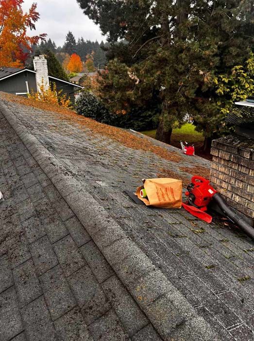A vacuum cleaner is sitting on the roof of a house.