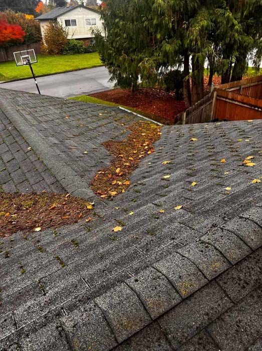 A roof with leaves on it and a basketball hoop in the background.