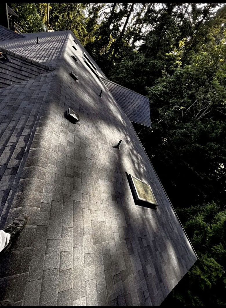 A roof with a skylight and trees in the background