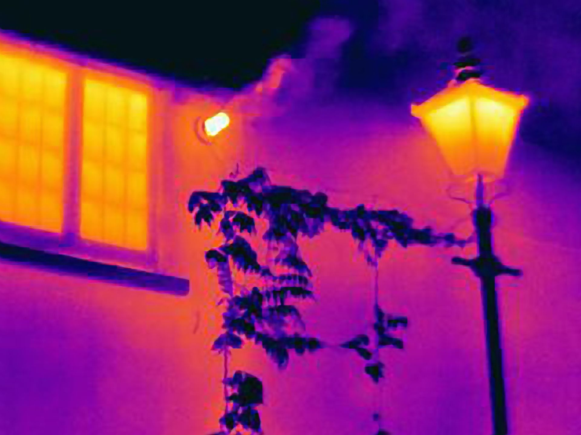 A thermal image of a house with a lamp post and a tree.