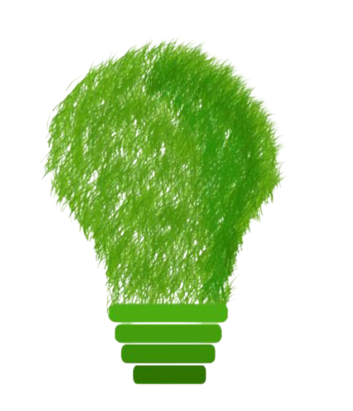 Nachhaltigkeit und Green IT
