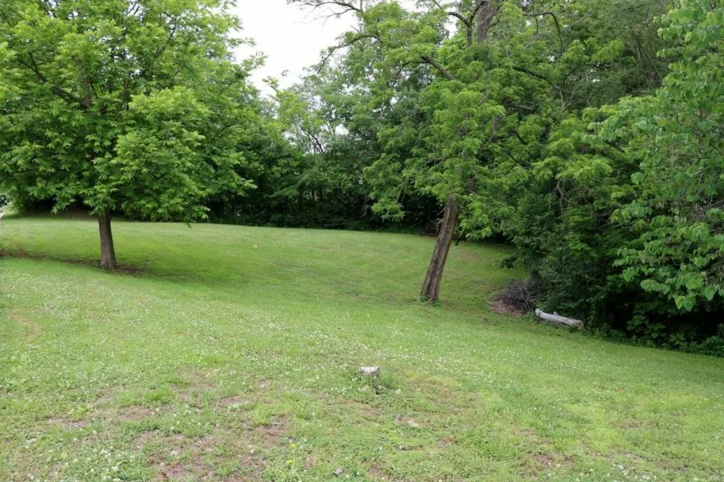 Yard to the side of the house