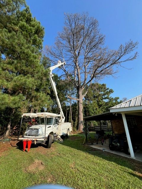 A white truck with a crane attached to it is cutting a tree.