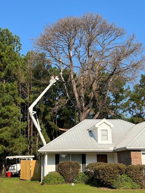 A large tree is being cut down in front of a house.