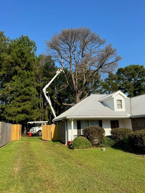 A crane is cutting a tree in front of a house