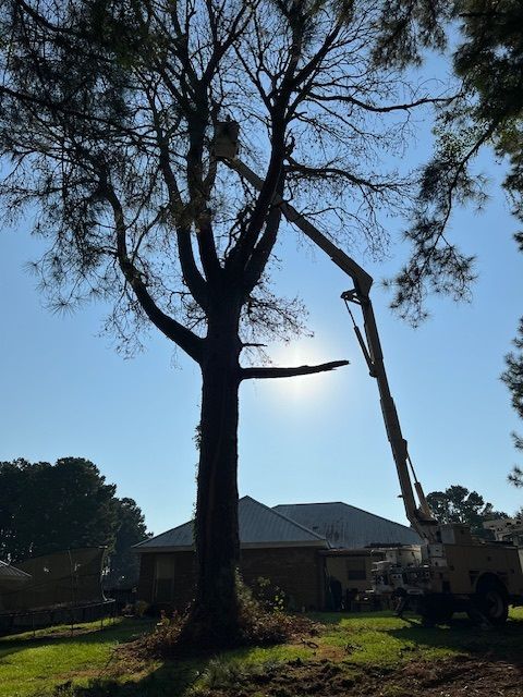 A tree being cut down by a crane in front of a house