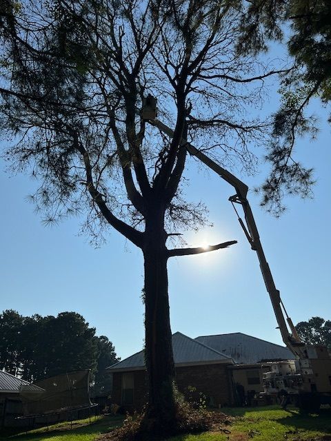A man is cutting a tree with a crane