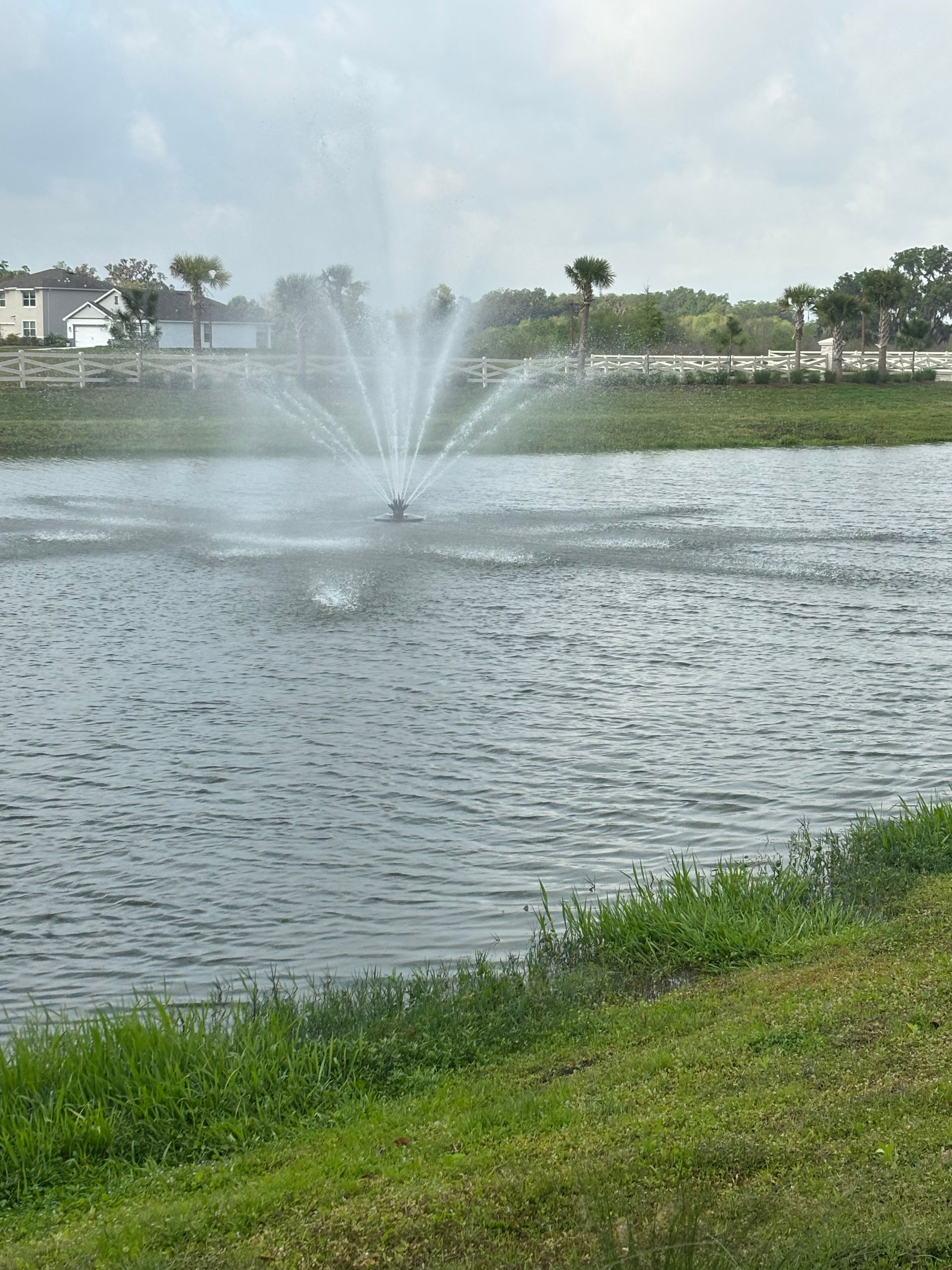 A water fountain sprays in the center of a pond surrounded by grass, trees, and houses under a partly cloudy sky.