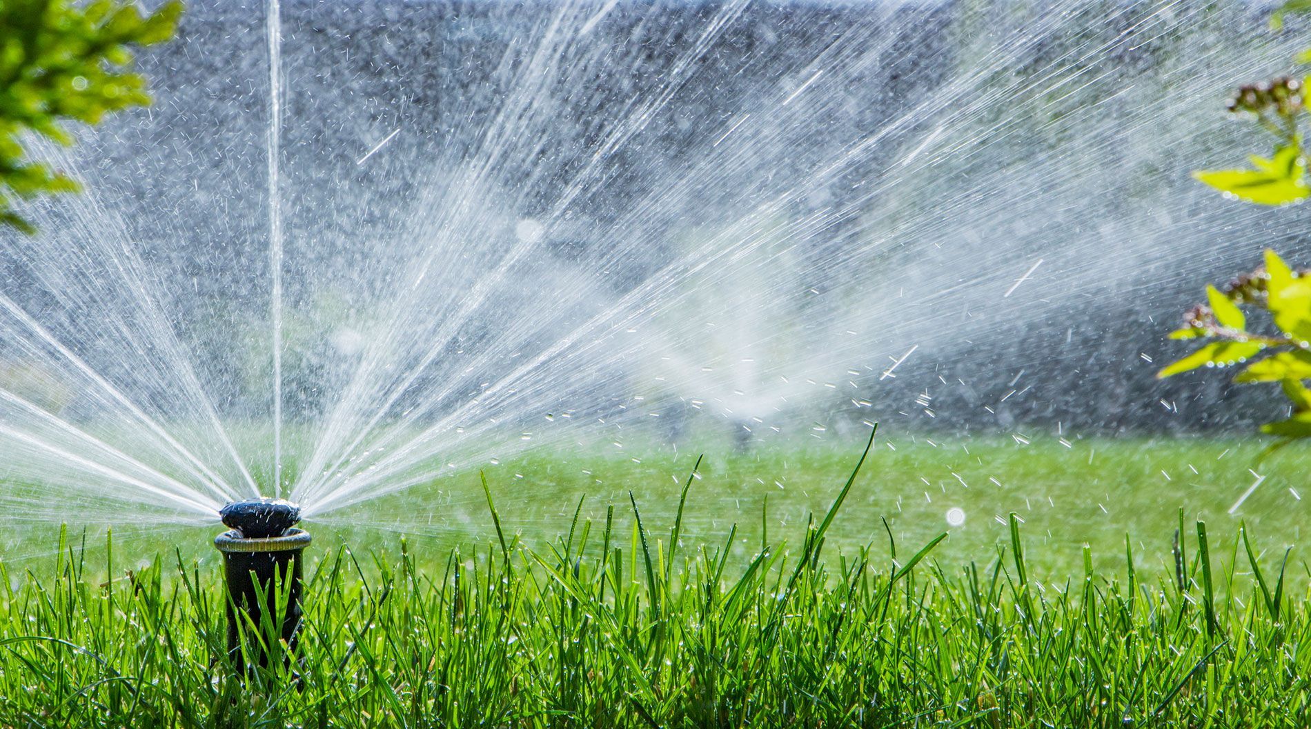 4 Types Of Irrigation Systems Bold Supply LLC