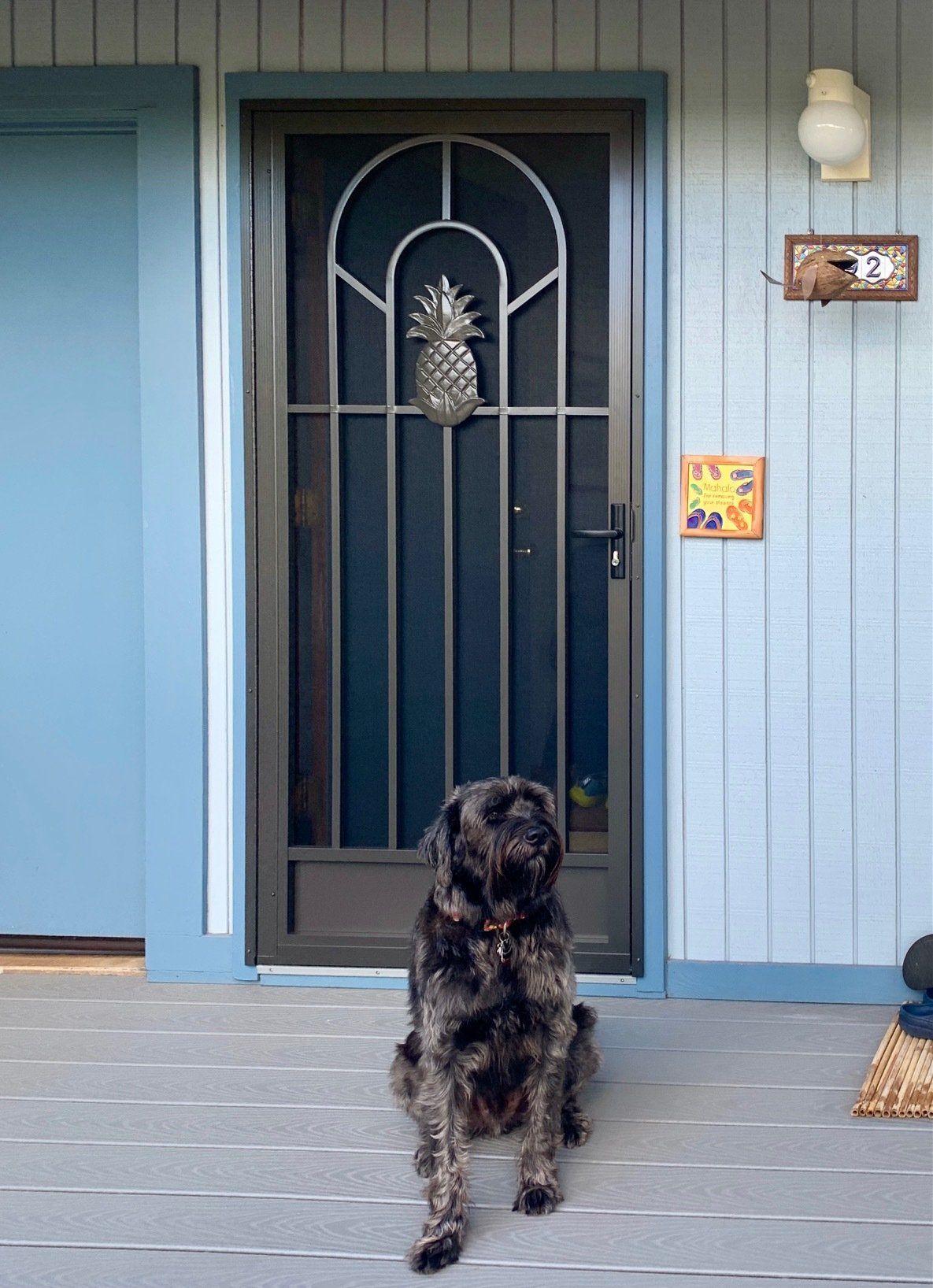 P-110-206 Pacifica — Kahului, HI — Aloha Screen Doors