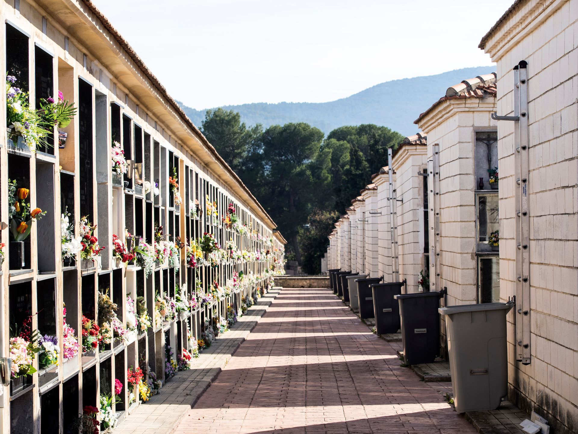 Bara di legno con manici in argento e fiori rossi sulla parte superiore.