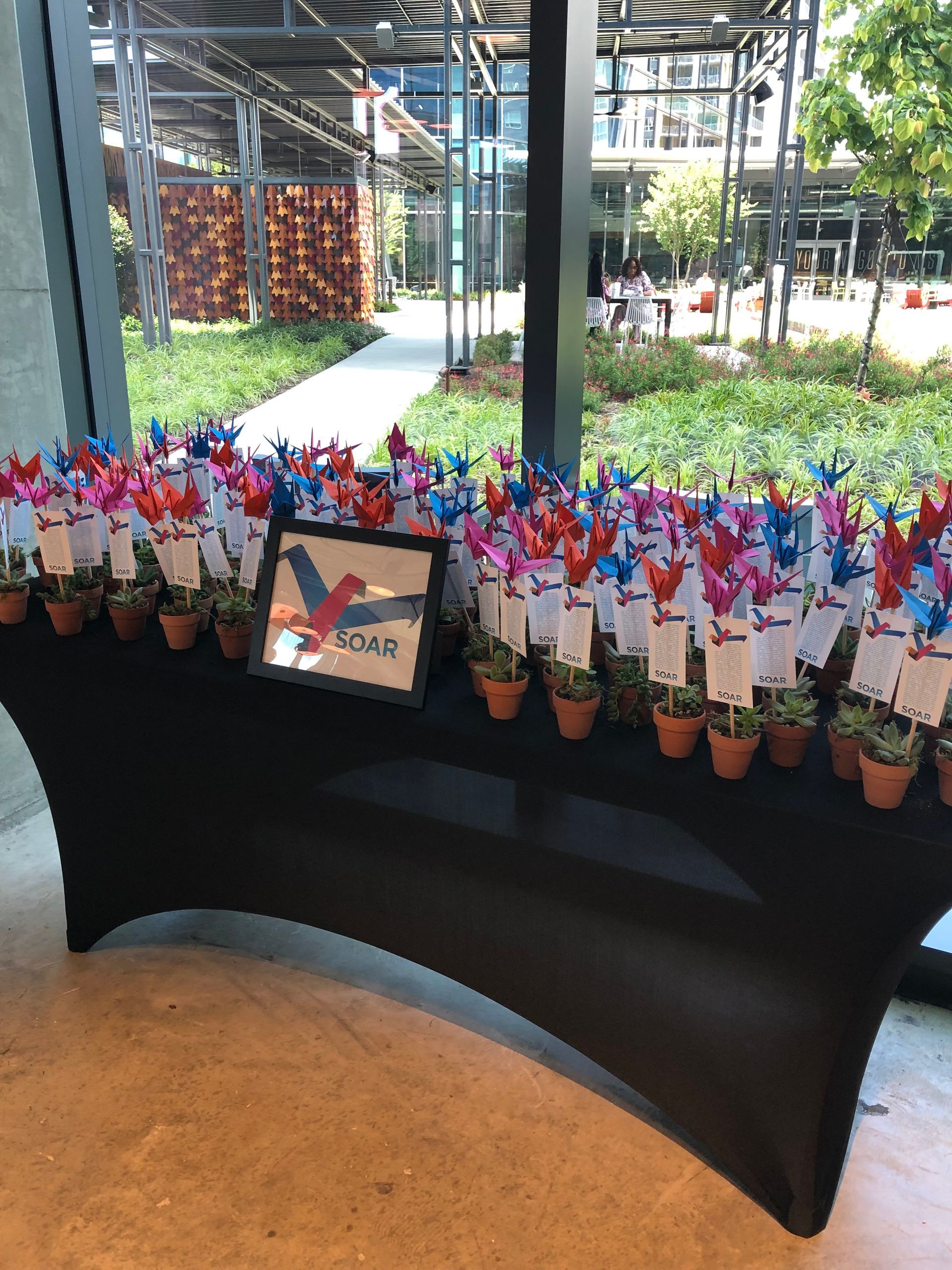 a table with a lot of small potted plants on it