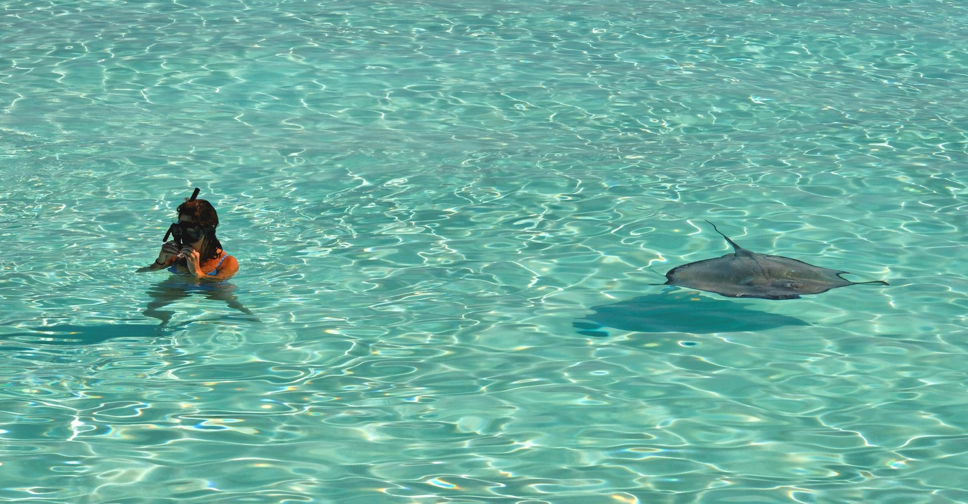 Woman snorkeling near a stingray in turquoise water.