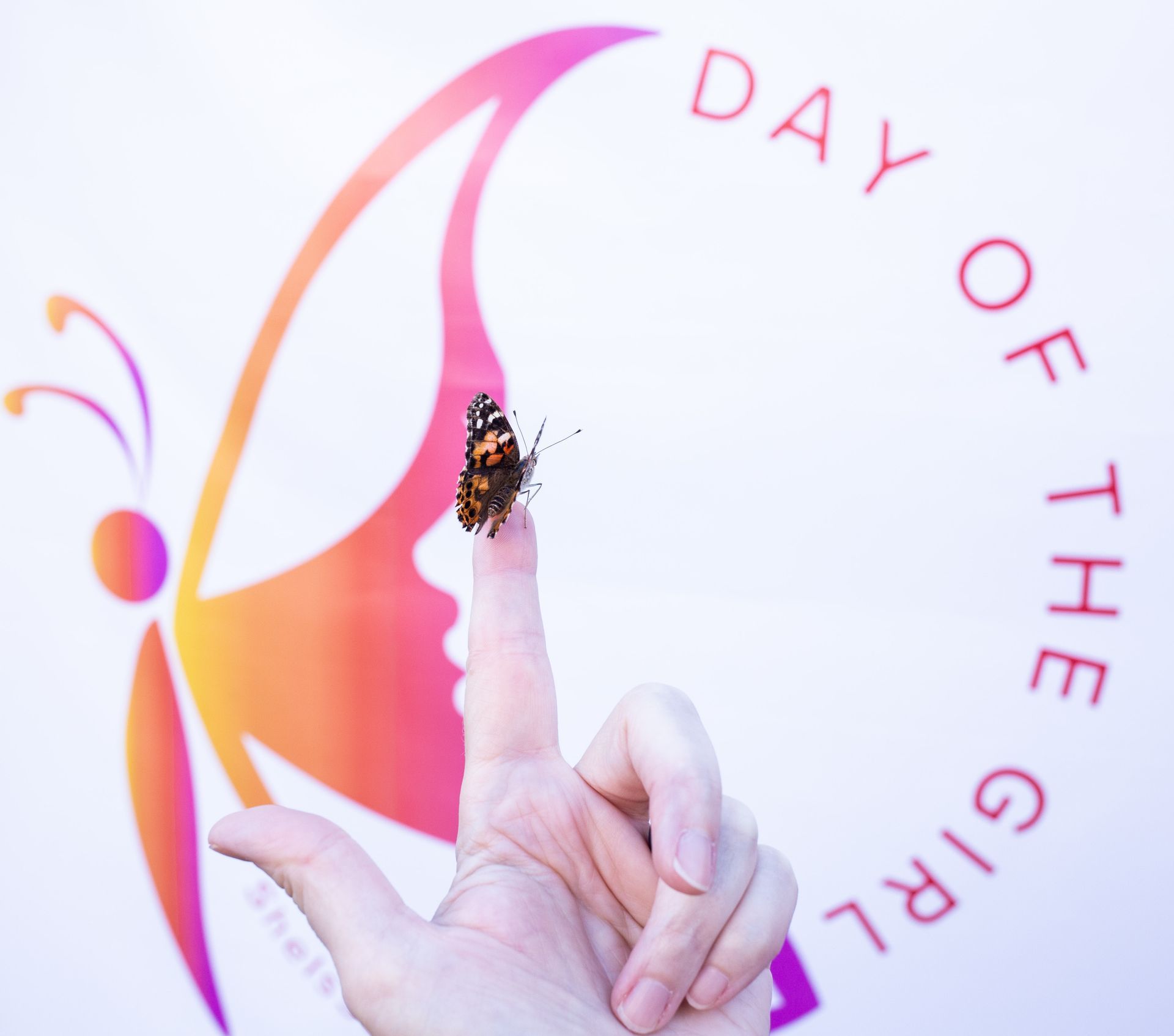 A person is holding a butterfly on their finger in front of a day of the girl logo