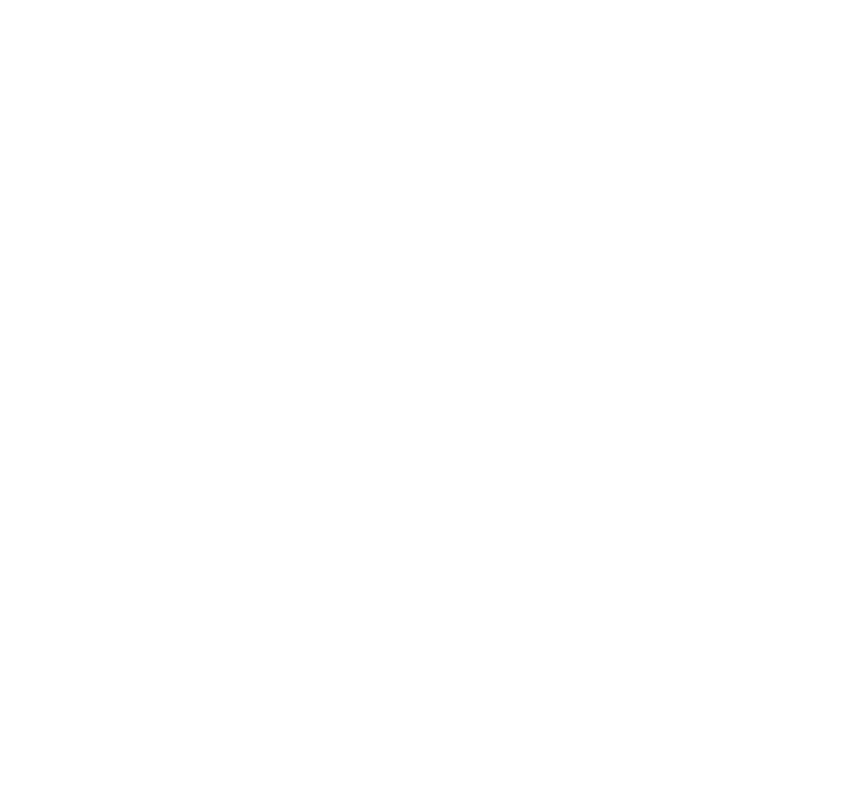 Mad Garage