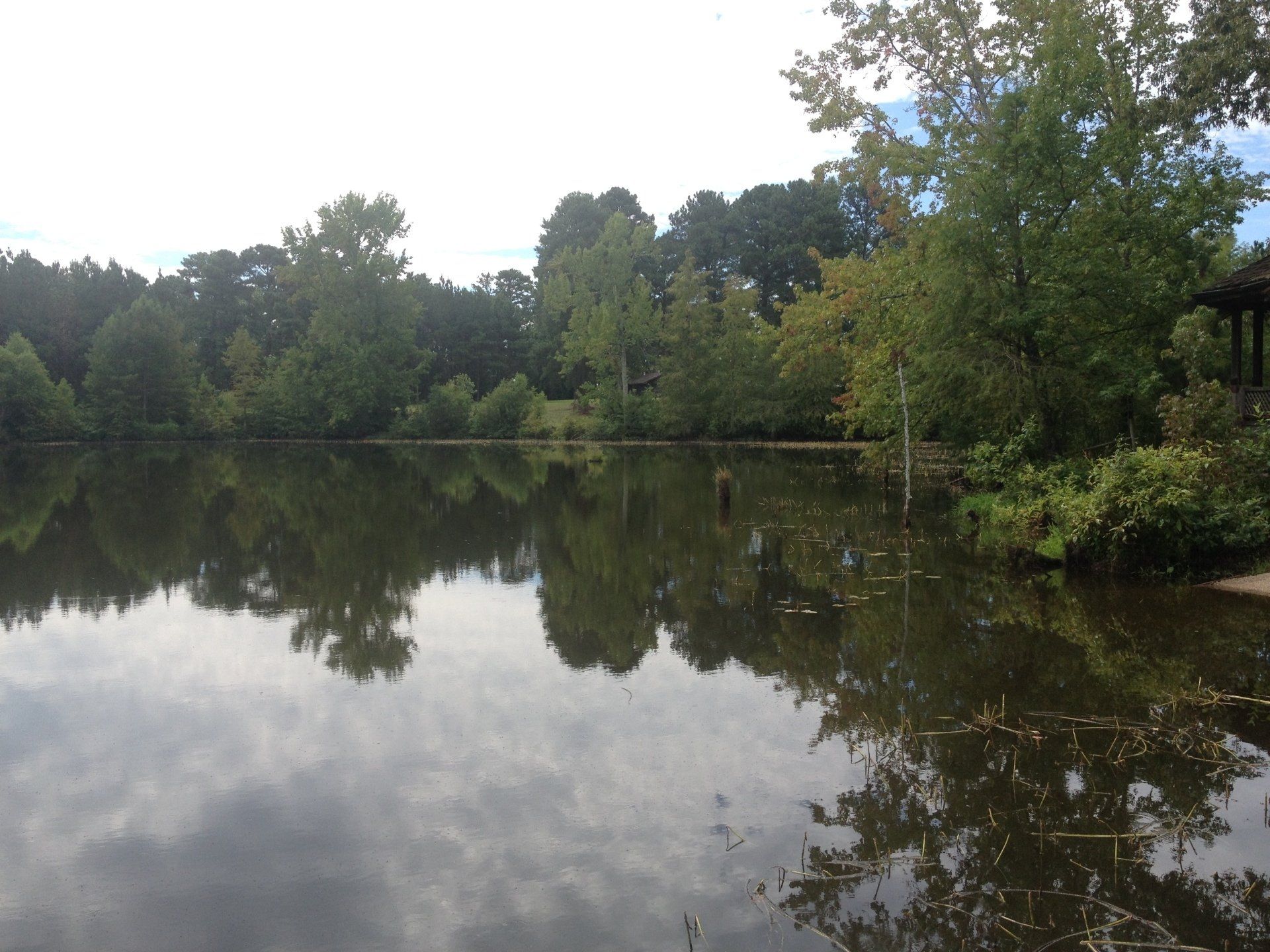 Calm lake reflecting trees and sky; grassy bank with trees and gazebo in the background.