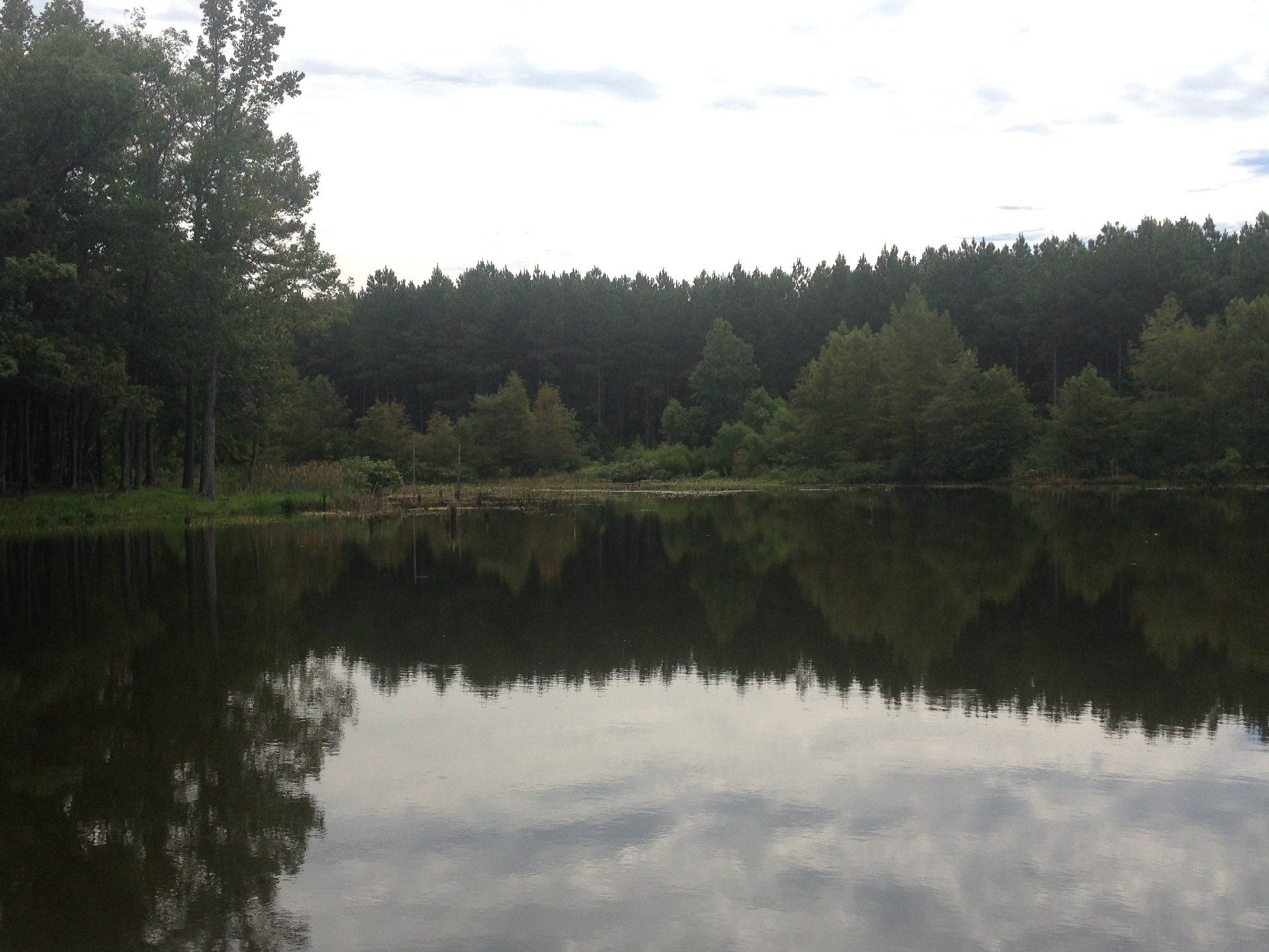 Calm lake reflecting trees and sky, overcast day.