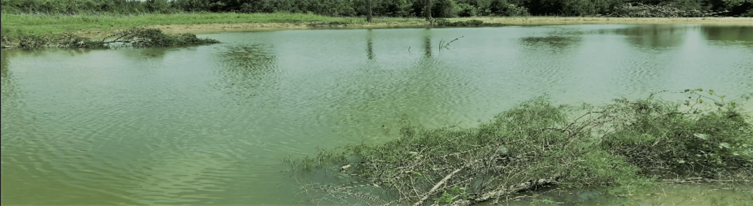 Aquatic Habitat Restoration and Design