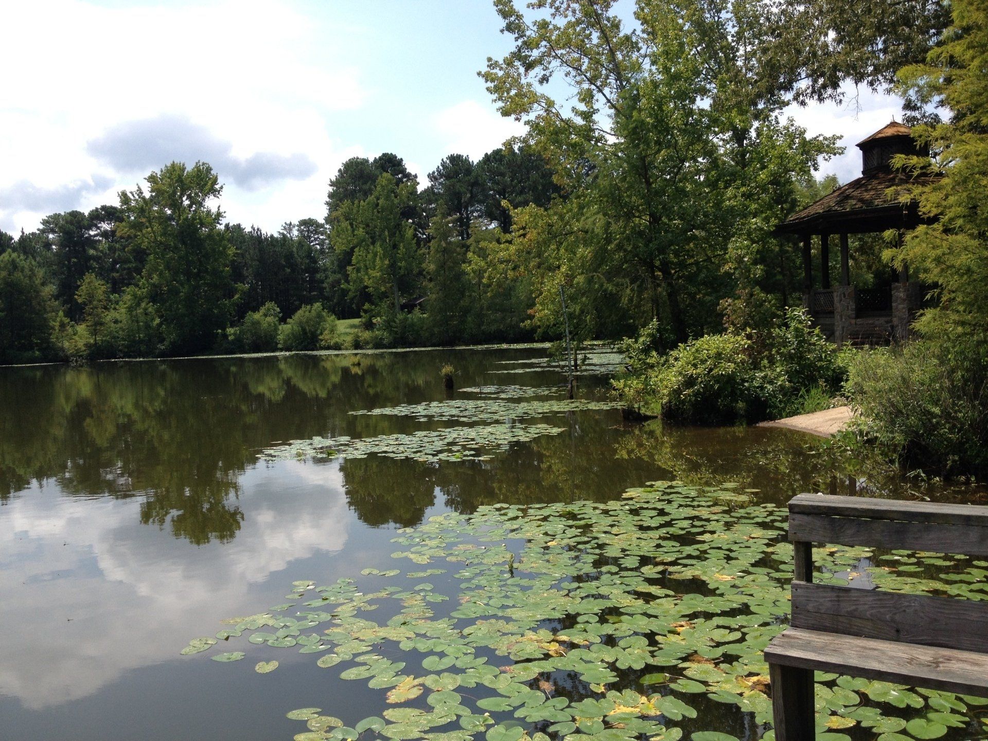 Pond Pro Project - BN Project Before Photos