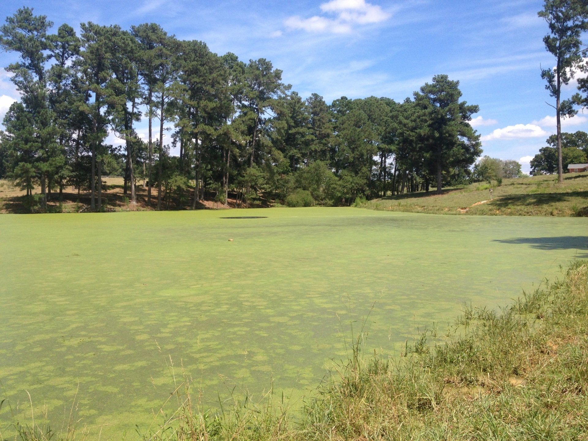 Pond Pro Project - BJR Project