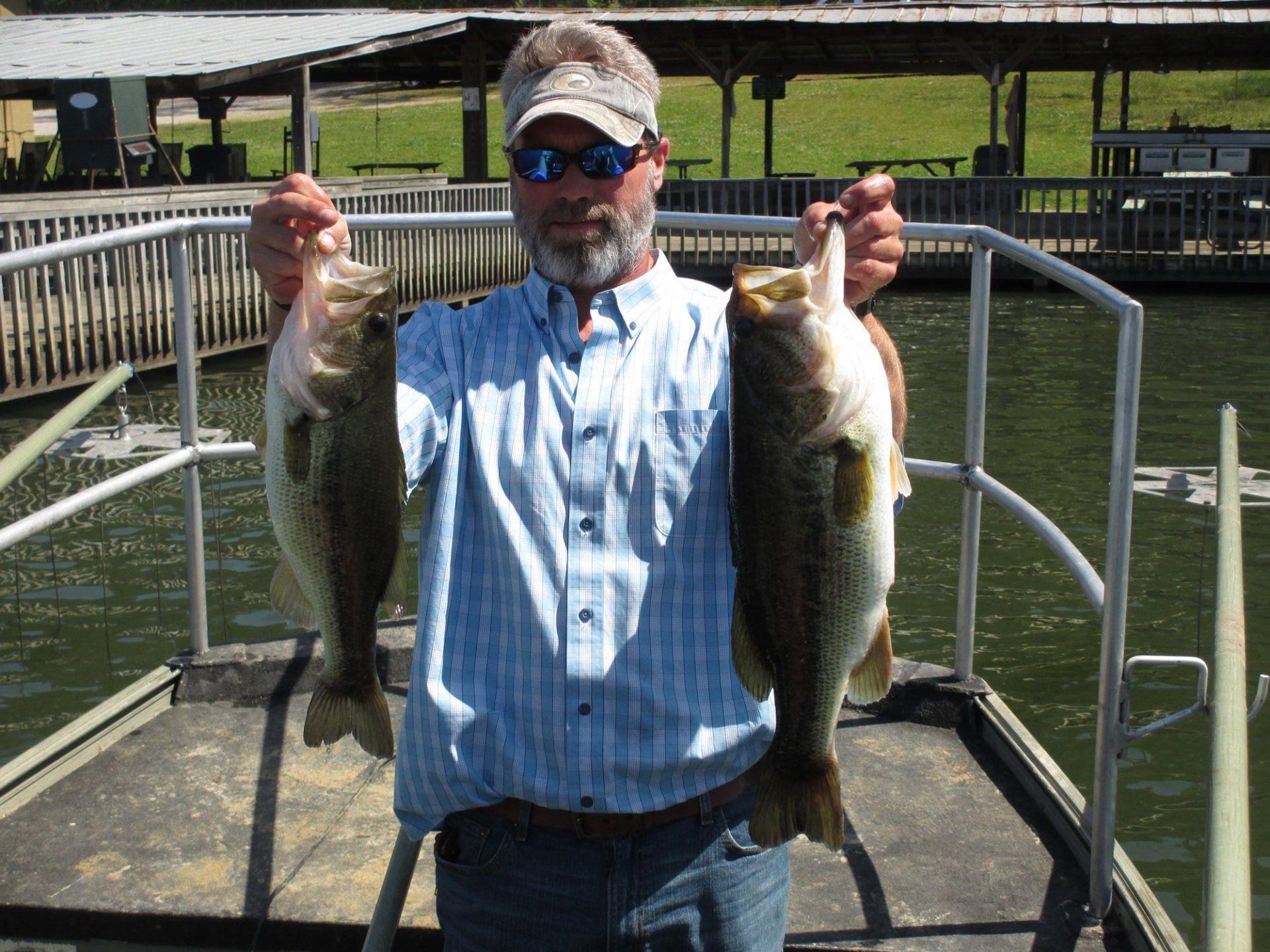 Man holding two large bass fish on a dock, outdoor setting.