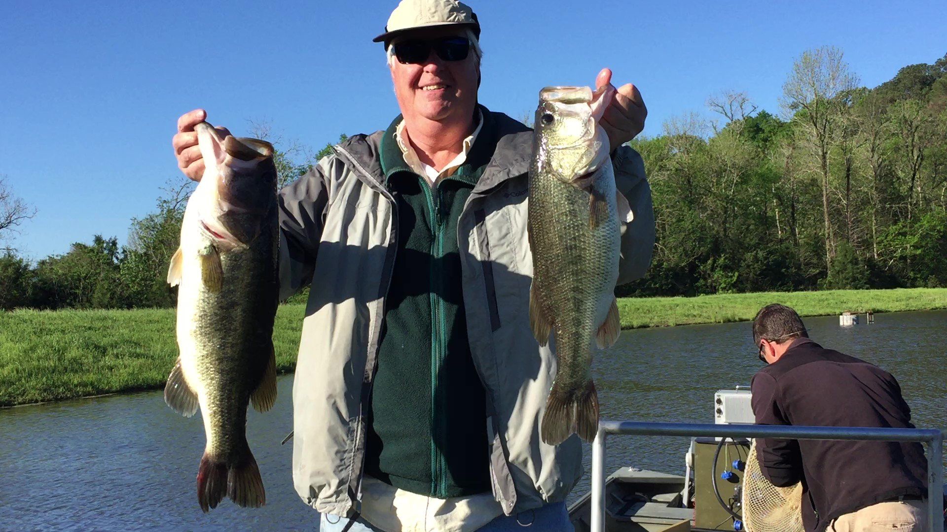 Man on a boat holding up two large bass fish. Smiling, green setting.