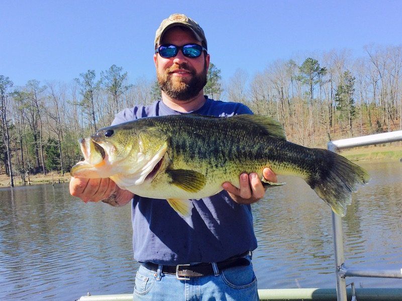 Man holding large bass fish on a sunny day near a lake.