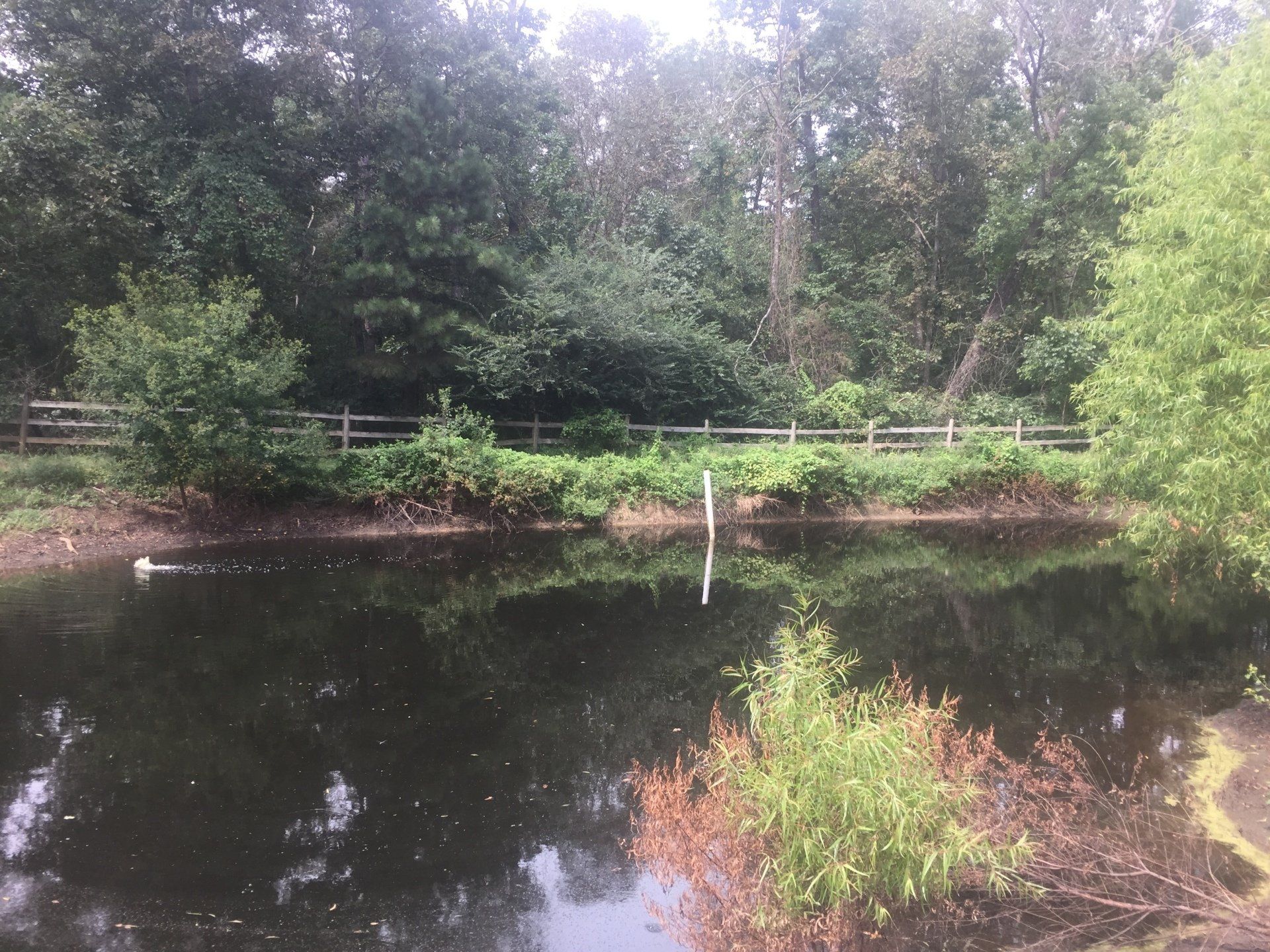 Pond Pro Project - Horse Pond Project After Photos