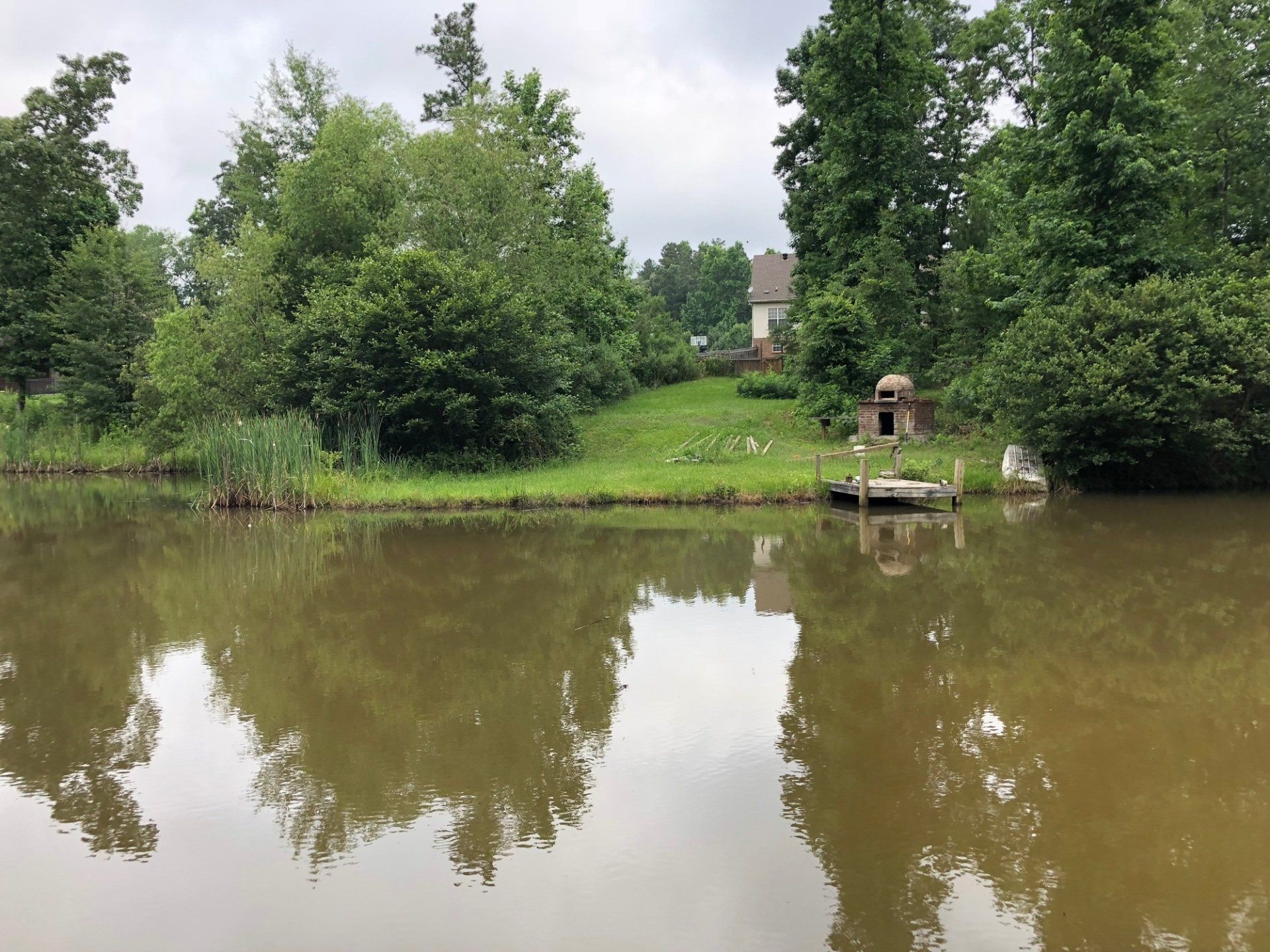 Pond Pro Project - Sunny Side Project After Photos