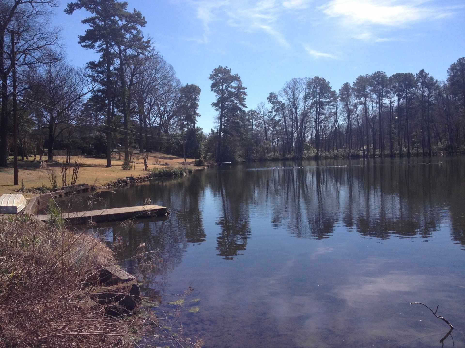 Pond Pro Project - VL Project After Photos