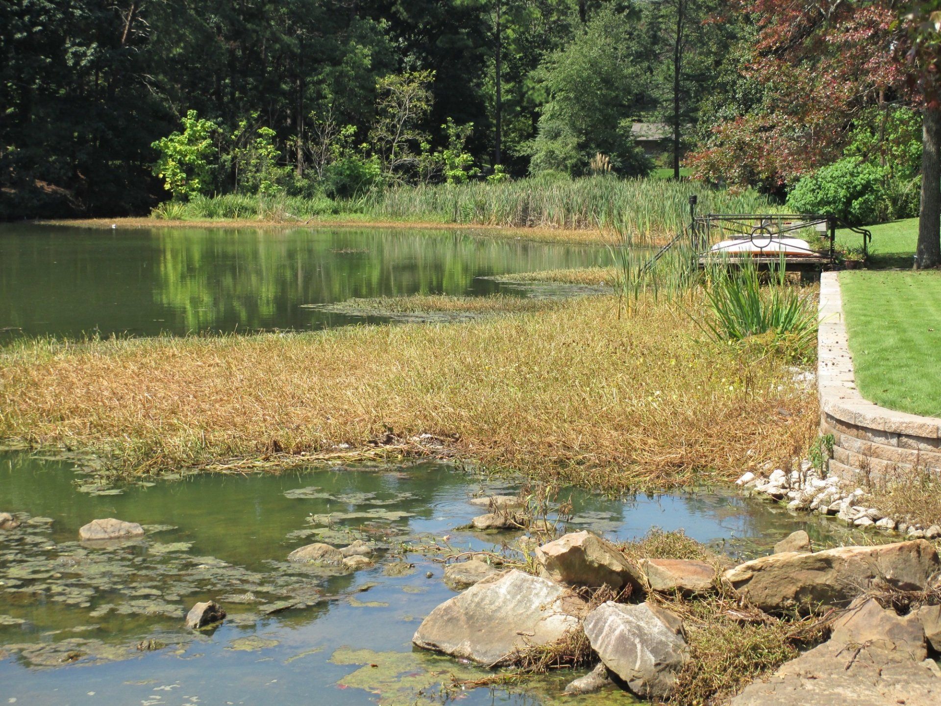 A pond with dead vegetation, rocks, and a small dock surrounded by trees and grass.