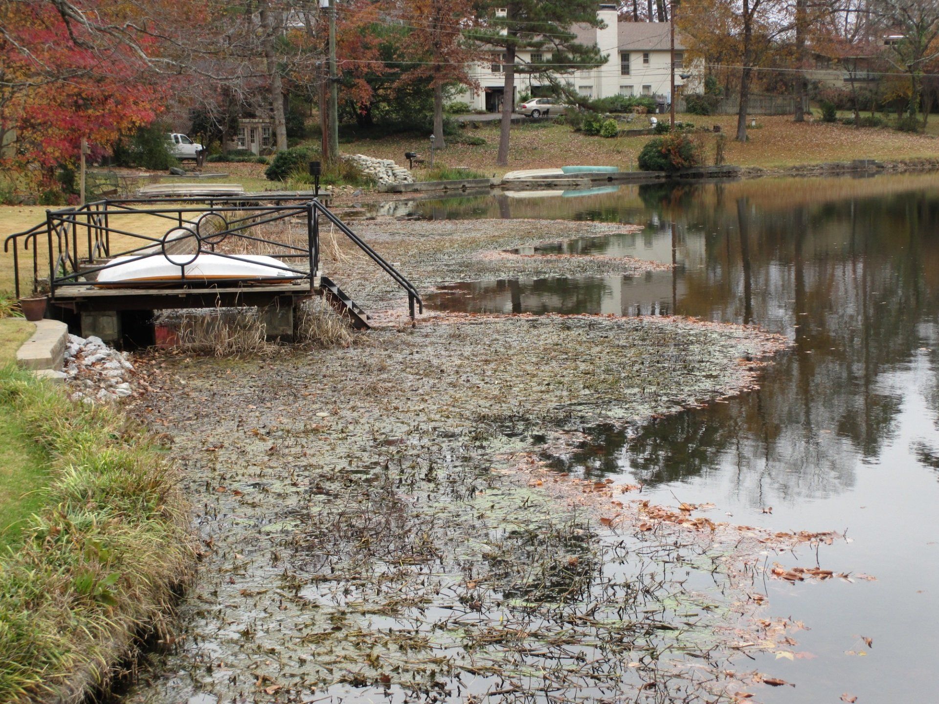 Dock on a pond covered in lily pads with a house and trees in the background.
