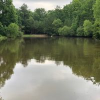 Supplemental Feeding