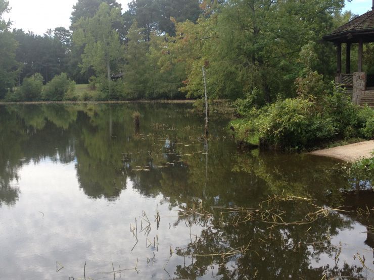 Biological Augmentation Program